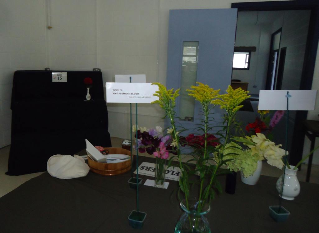../Images/64th Bunclody Horticultural Show 2015 - 6.jpg